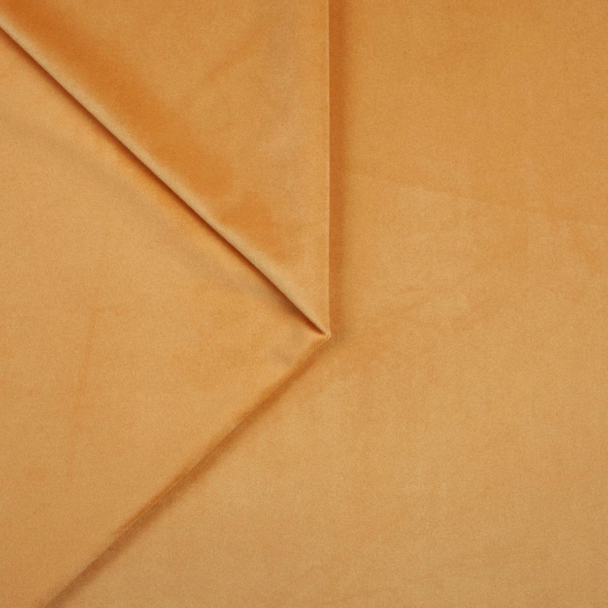 Kaki