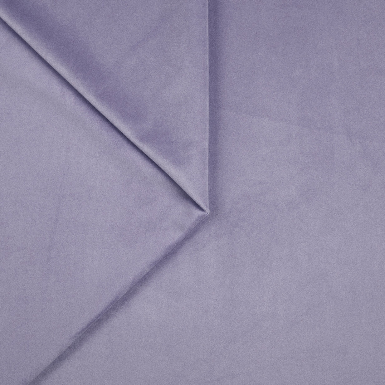 Lavendel